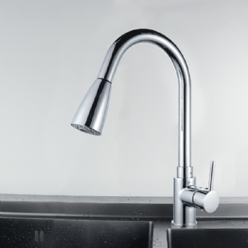 Kitchen faucet model 002