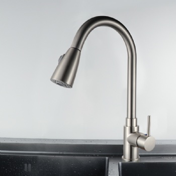 Kitchen faucet model 002-2
