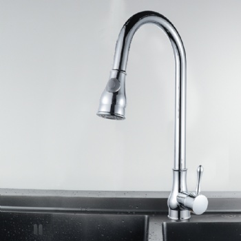 Kitchen faucet model 007