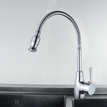 Kitchen faucet model 006