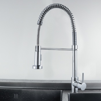Kitchen faucet model 003
