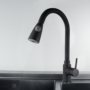 Kitchen faucet model 002-3