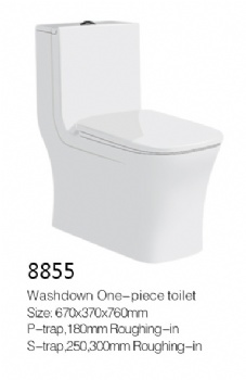 Toilet model 8855