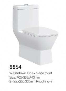 Toilet model 8854