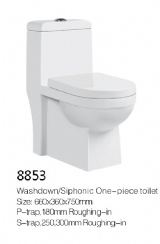 Toilet model 8853