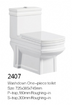 Toilet model 2407