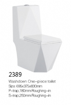Toilet model 2389