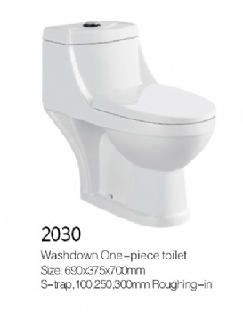 Toilet model 2030